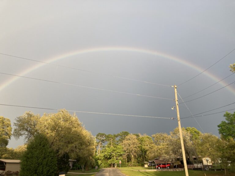 Beautiful rainbow over Ocala National Forest