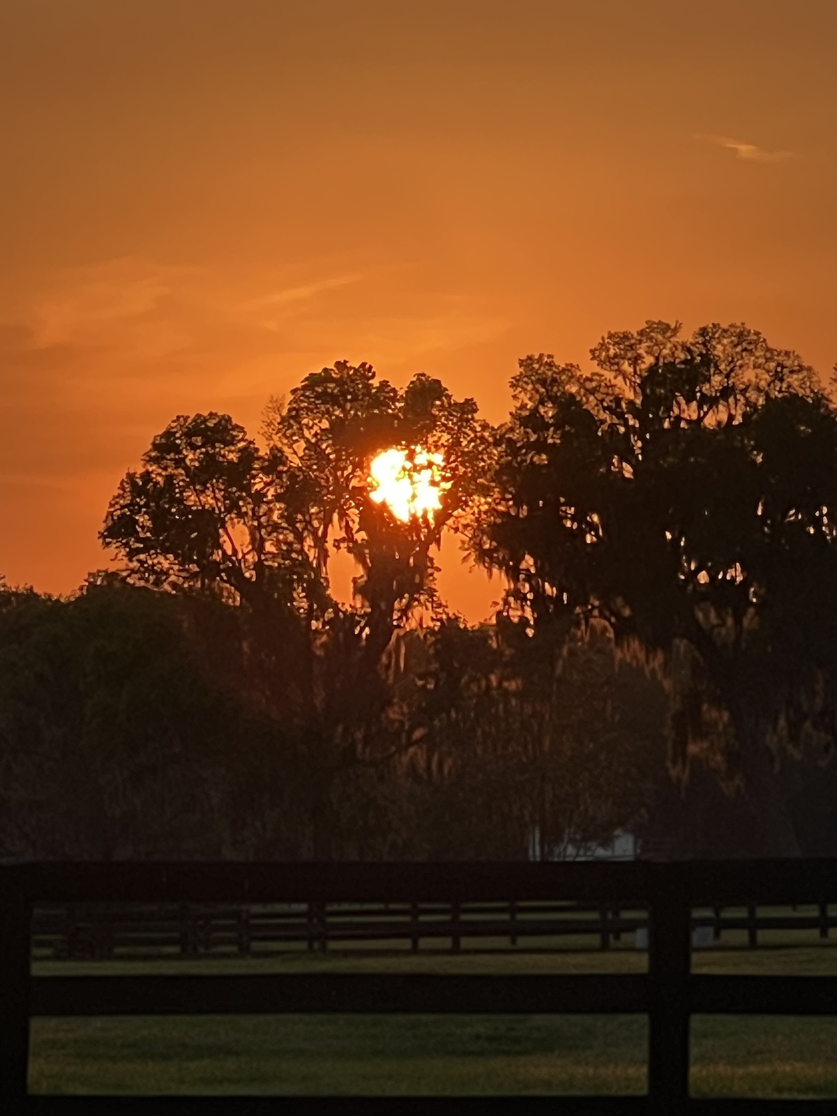 Beautiful sunset over NW Ocala