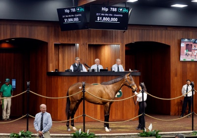 Hip 788, 2024 OBS March 2 year old Sale