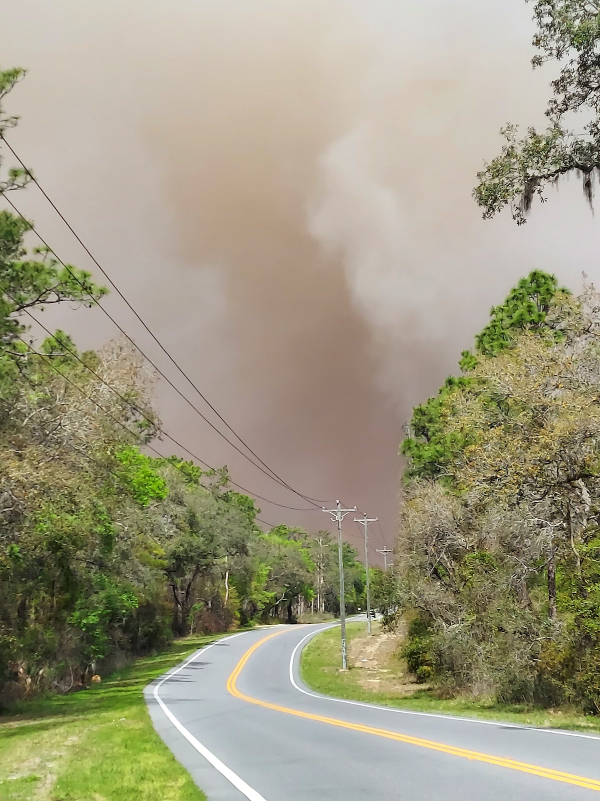 Prescribed burn on CR 314A in Ocala