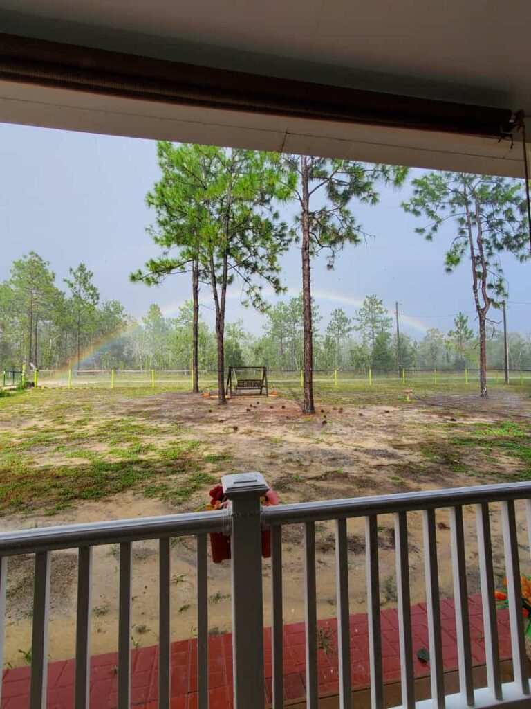 Rainbow in yard of Williston home