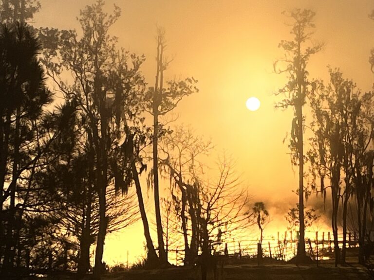 Stunning sunrise over Lake Pendarvis in Ocklawaha