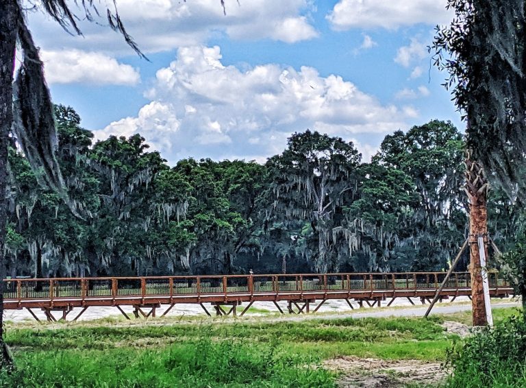 Wetland Groundwater Recharge Park in Ocala, Florida