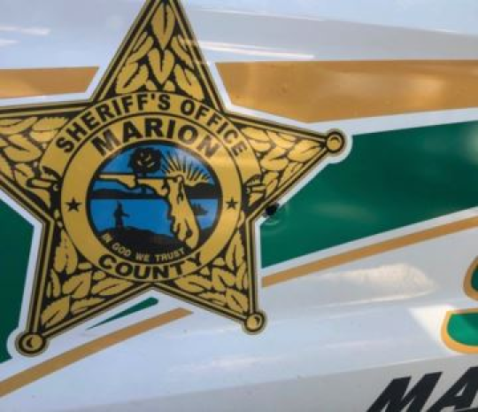 MCSO patrol vehicle (closup of door with logo)